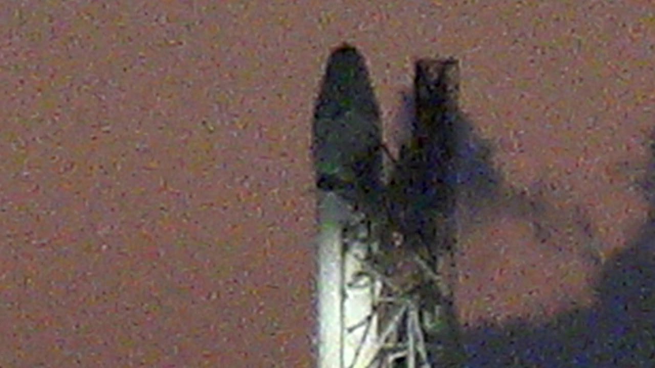 SpaceX - CRS-9 Stands Ready On Pad 40  07-16-2016