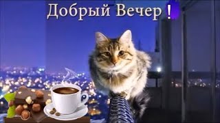 Добрый Вечер ! Доброго Приятного Вечера! Красивое Пожелание Доброго Вечера.