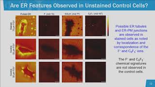 A New Method to Probe the Composition of Cellular Organelles using Tandem MS