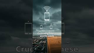 India's Cell Broadcast System: Instant Emergency Alerts!