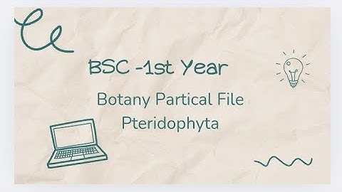 Botany - PTERIDOPHYTA, BSC-1 st year Botany partical File. with classification