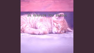 Harmony In Slumber