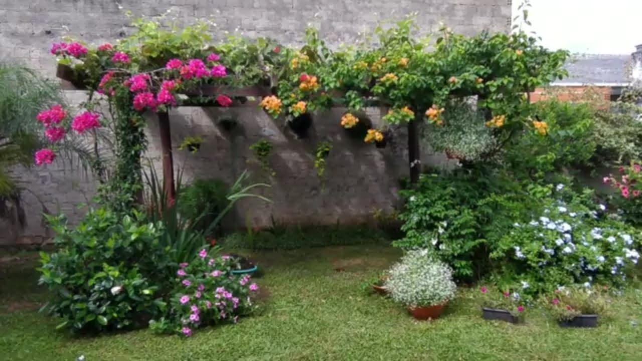 8 Pergolado com Plantas e Flores Incríveis que Você Precisa Conhecer -  thptnganamst.edu.vn