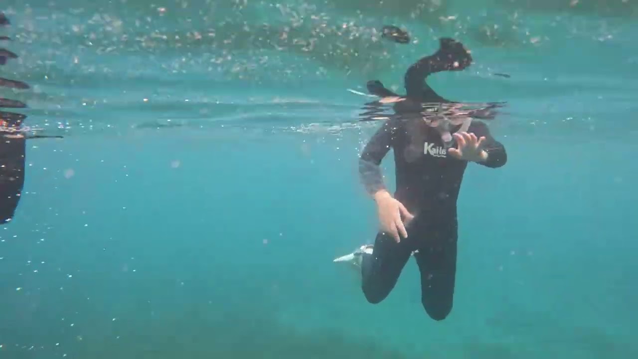 千葉県館山市・沖ノ島ビーチ】秋の透明度15mの海で楽しむ初心者向け
