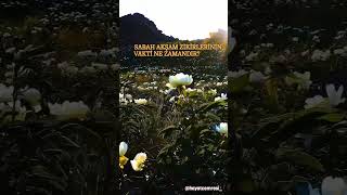 Sabah Akşam Zikirleri Ne Zaman Yapılır?