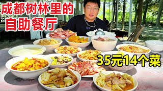 成都新津开在树林子里的自助餐厅，35块钱14个菜随便吃，巴适得板 #麦总去哪吃