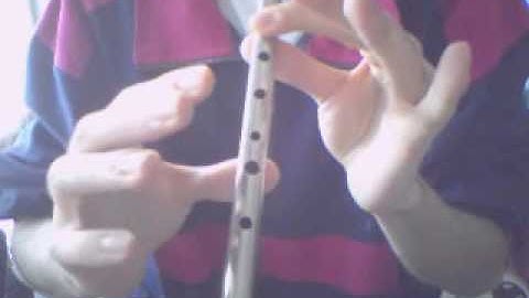 The Water is Wide - Tin Whistle tutorial