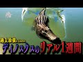これが【孤独の王】デイノスクスの現状だ#theisle