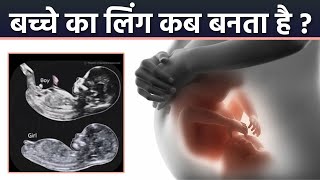 Pregnancy Me Baby Gender Kab Banta Hai | In Which Week Of Pregnancy Baby Gender Determined | Boldsky screenshot 3