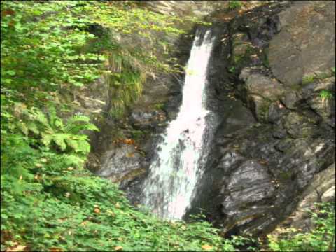 تثبيت الفؤاد بمولد خير الع باد الجزء الأول