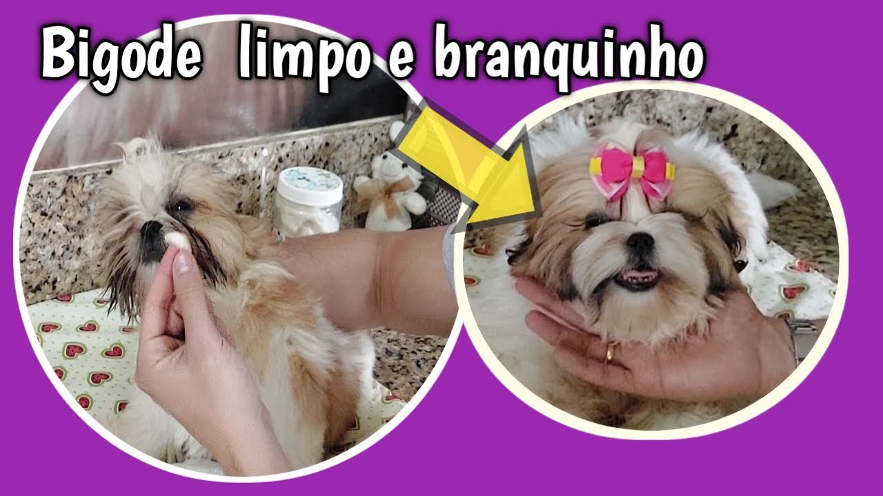 Limpar o bigode e deixar branquinho