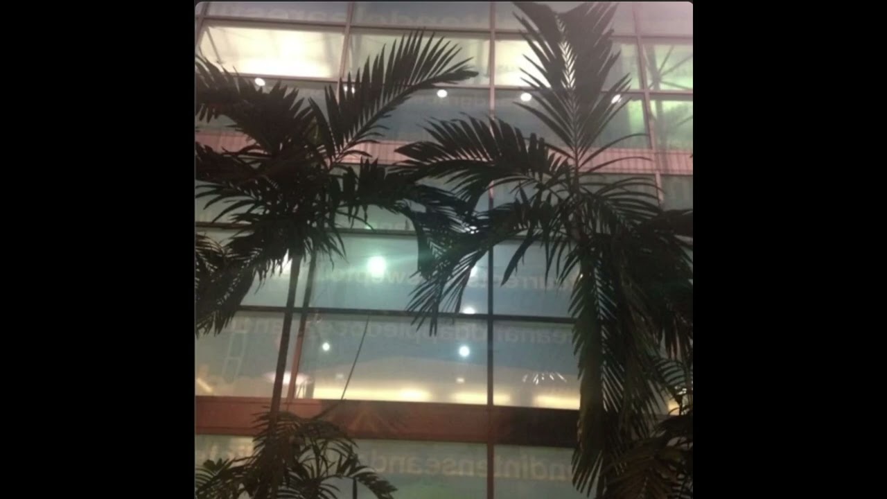 SLIDEMANE - I STAY HIGH MIXX (deleted track)