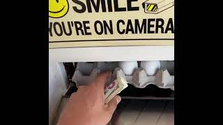 Egg vending machine and free chicken show