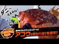 【ロックフィッシュ】アコウを狙え！「根魚玉」で楽しむ瀬戸内ナイトゲーム【フィッシングトリップ】