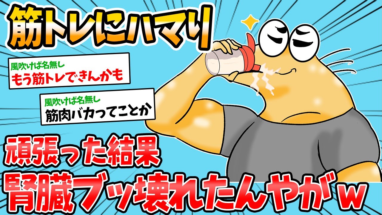 【バカ】マッチョになるために努力してたら腎臓が終わったんやがwww【2ch面白いスレ】