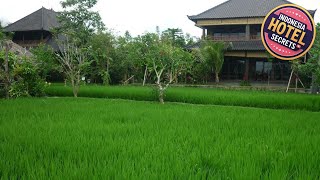 Bliss Spa Ubud Hotel | Bali, Indonesia | Hotel Review 🛏️