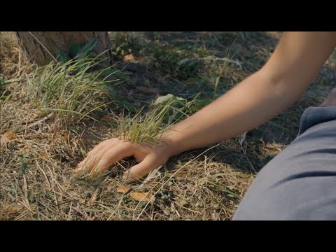 I Know The End - Phoebe Bridgers // Midsommar