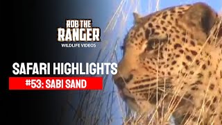 Safari Highlights 23 - 25 July 2010 Sabi Sand Nature Reserve Latest Sightings