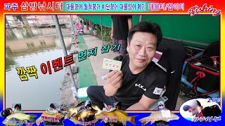 20250627 대물향어/향어 조사님 짜릿한 랜딩 후 