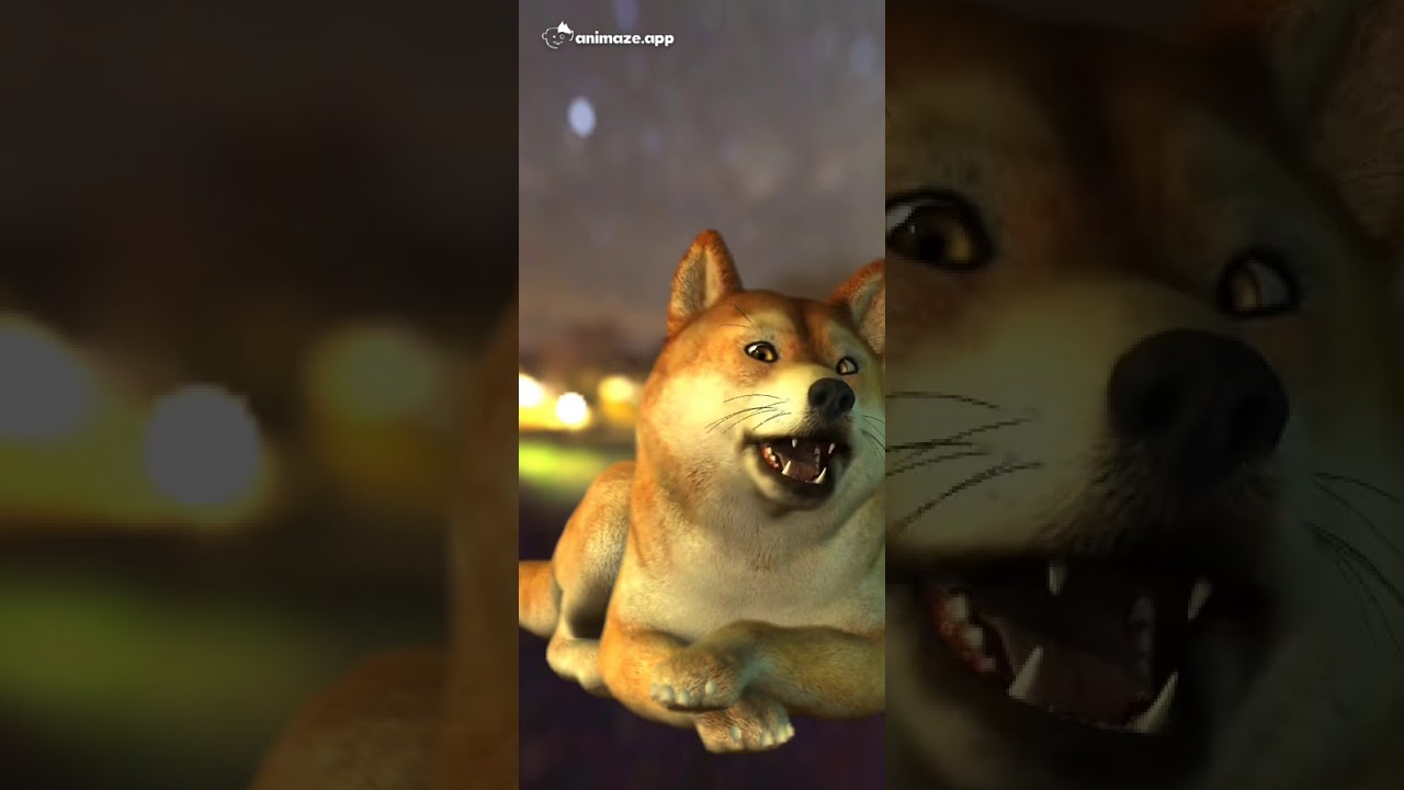 The best doggo YouTube