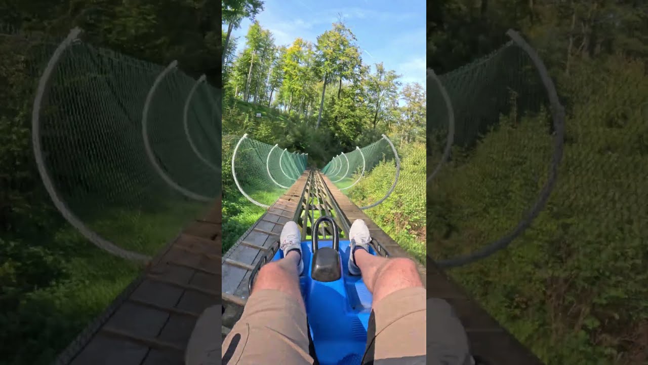 🏞️🎢 Harzbob - Thale 