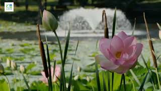 PS Jiva Phoolbagan Kolkata | Luxury 3 &amp; 4 BHK Residences