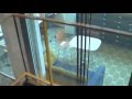 The Singing Elevator Lift Backward Version The Singing Elevator Lift Backward Version
