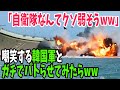 【海外の反応】韓国軍、日本の自衛隊に比べ圧倒的にポンコツ過ぎると話題にwww