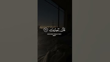 {اليوم نختم على افواههم وتكلمنا ايديهم}القارئ: يوسف الصقير♡