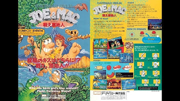 ARCADE - JOE & MAC CAVEMAN NINJA