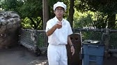 今は何を ファンカスト ミネザキさん 東京ディズニーシー Tds 18 12 28のパフォーマンス Youtube 今は何を ファンカスト ミネザキさん 東京ディズニーシー Tds 18 12 28のパフォーマンス Youtube