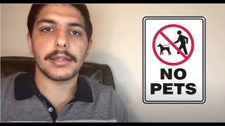 Can Landlords Request No Pets Is A No Pet Provision Legal - Toronto Tenancy Laws Explained #1