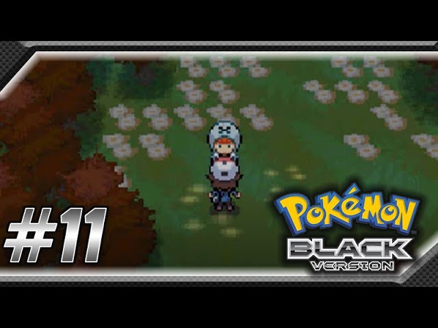 Pokemon Black Walkthrough Part 18: Extra Training For The Membrane