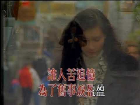 雨中康乃馨