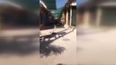 Σεισμός 6,1 ρίχτερ ταρακούνησε τη Μυτιλήνη