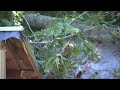 2 rescued from Lincoln County mobile home after tree crashes through roof | WSOC-TV
