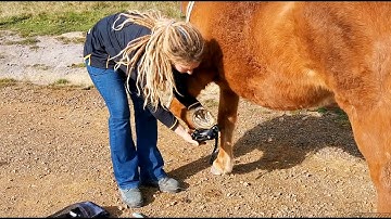 How to put on Scoot Boots and check for the correct  fit.