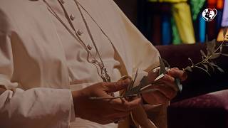 Pray with the Pope: For disarmament and peace | March 2026 Wealth