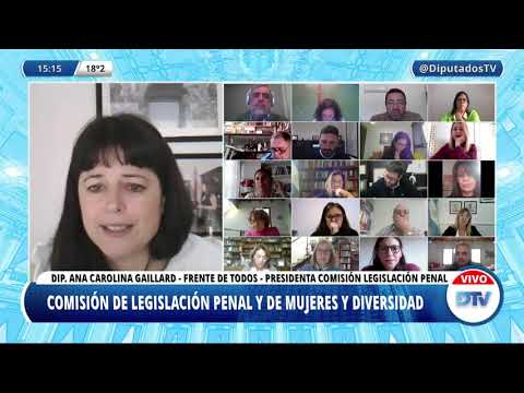 VIDEOCONFERENCIA EN VIVO: H. Cámara de Diputados de la Nación - 3 de junio de 2021