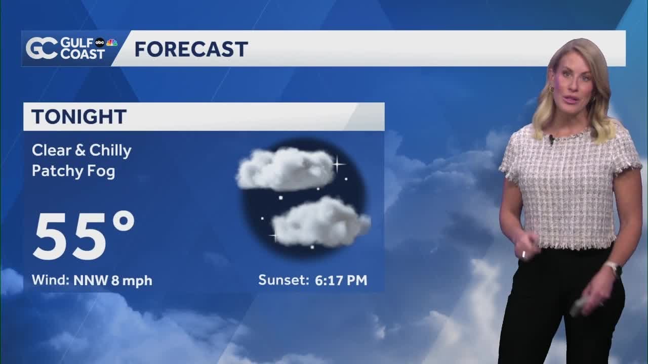 Dry, pleasant Wednesday night for Southwest Florida's Gulf Coast - YouTube