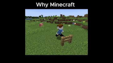 Minecraft Logic  #gaming #minecraft #logic