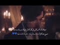 حبيتك فضل شاكر 