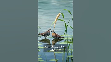 ففروا إلى الله | تلاوة إبداعية من سورة الذاريات (47-51) للشيخ أحمد العجمي #المصحف #القرآن_الكريم