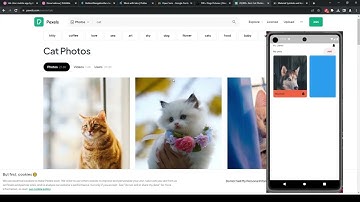 Home Screen Timelapse - Design to Flutter App: Vet Clinic Mobile App Design (1/3) by Elena Iurkova