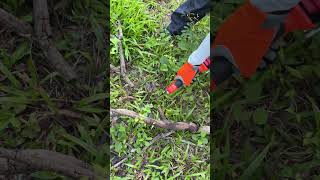 Efficient for large trimming jobs. #UrbanGreening #CityLandscaping #kebtek #pruning #tools