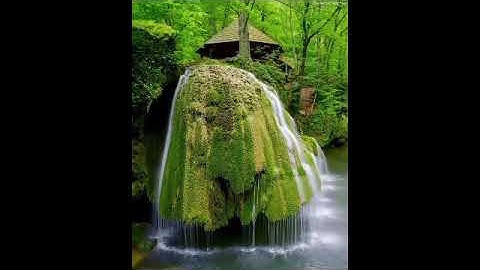 سورة الفاتحة والضحى