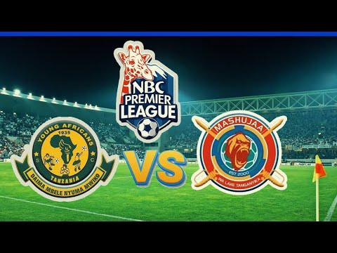 Вероника золотова 2021. Вероника золотова онлифанс. Алена наливкина художник. Лика андреева summerlovesummerl онлифанс. Анжелика андреева summerlovesummerl.