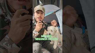 No busques ser segunda opción #dog #perro #motivation #motivacionperruno #moshi