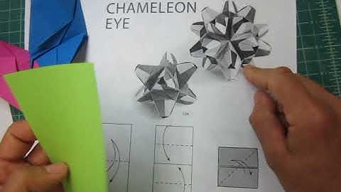 Part 00 Chameleon Eye