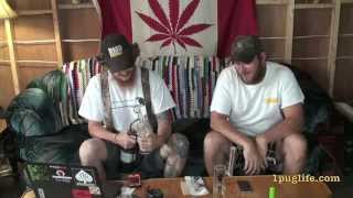 THC episode-185.5 feel the fex